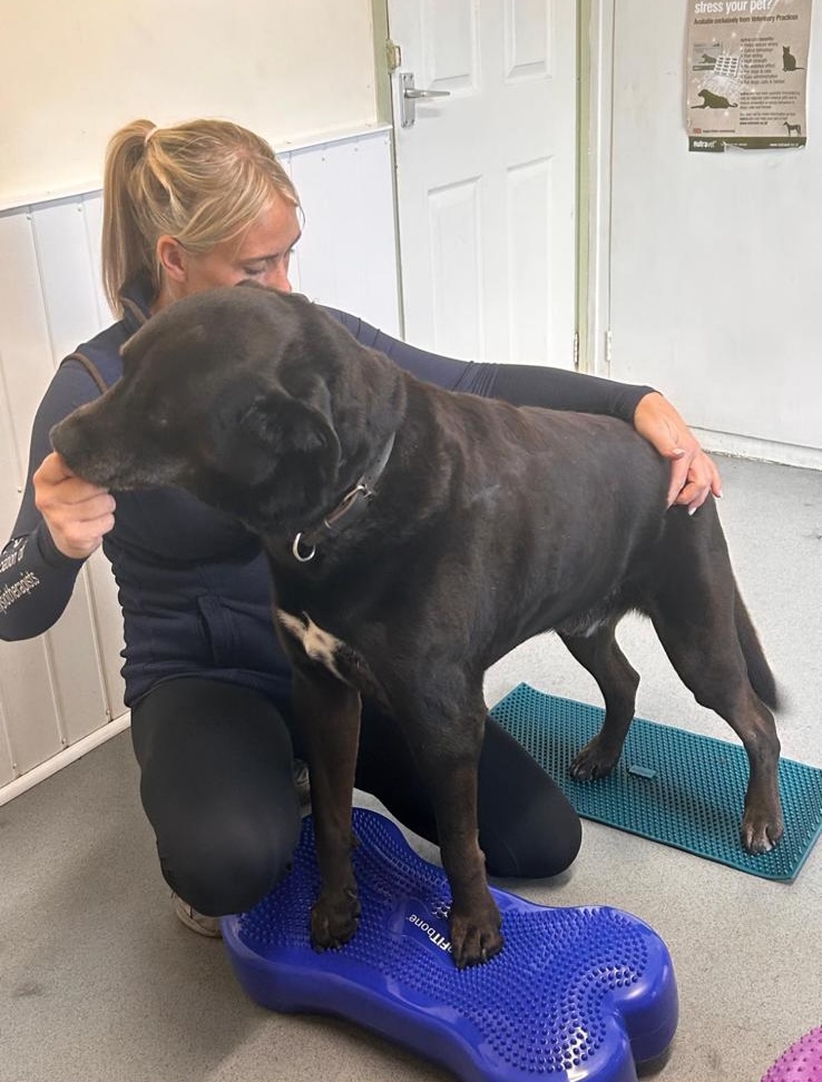 Amanda Butler treating a patient