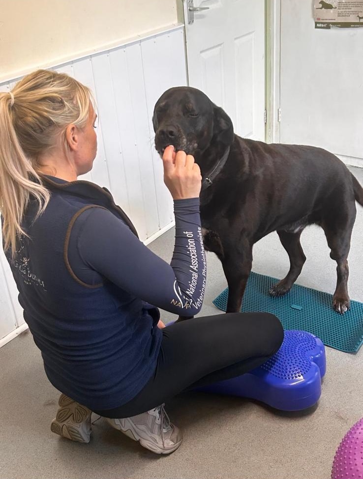 Amanda Butler giving a dog a treat